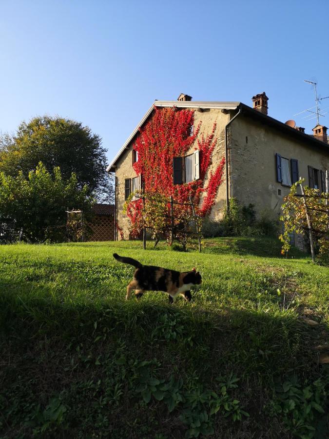 Agriturismo La Costa - Casa Vacanze Rovagnate Екстериор снимка