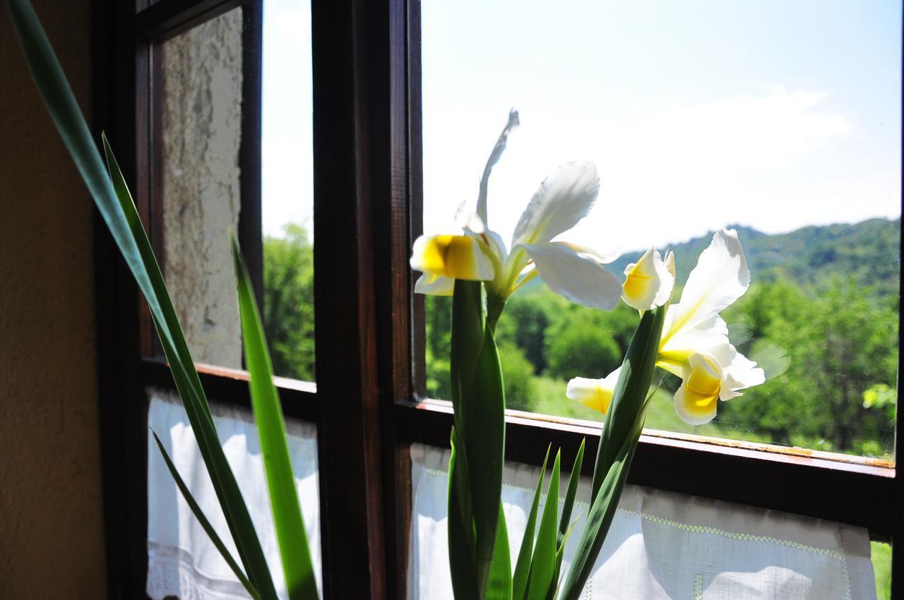 Agriturismo La Costa - Casa Vacanze Rovagnate Екстериор снимка